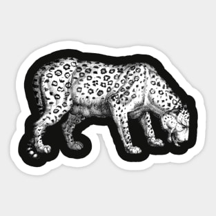 Tiger Sticker